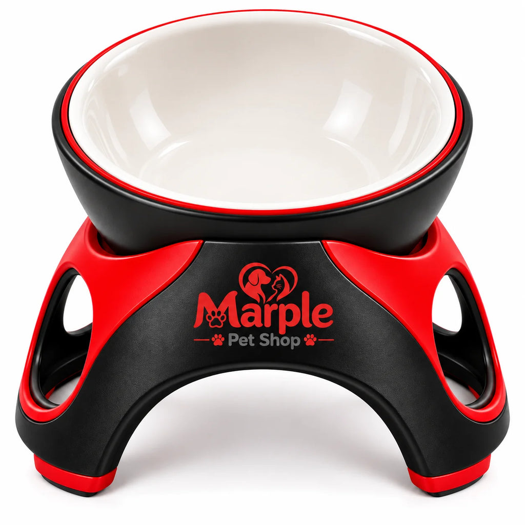 PurrDine™ Elevated Ceramic Cat Feeding Bowl -front view