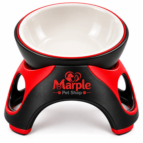 PurrDine™ Elevated Ceramic Cat Feeding Bowl -front view