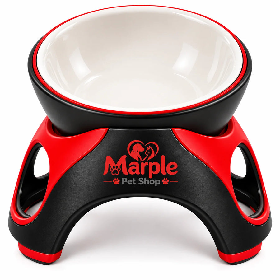 PurrDine™ Elevated Ceramic Cat Feeding Bowl -front view
